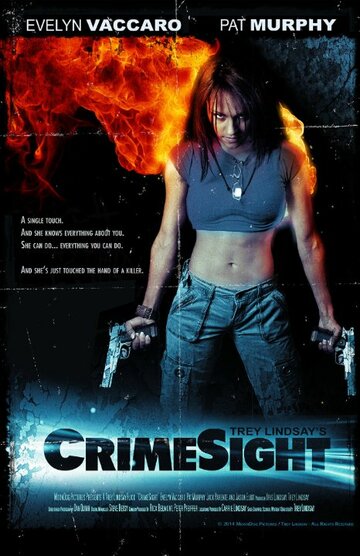 CrimeSight (2014)